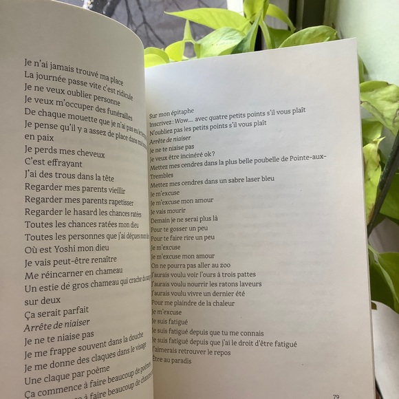 Collective poetry book (fr) - poésie en français - Picture 4 of 11